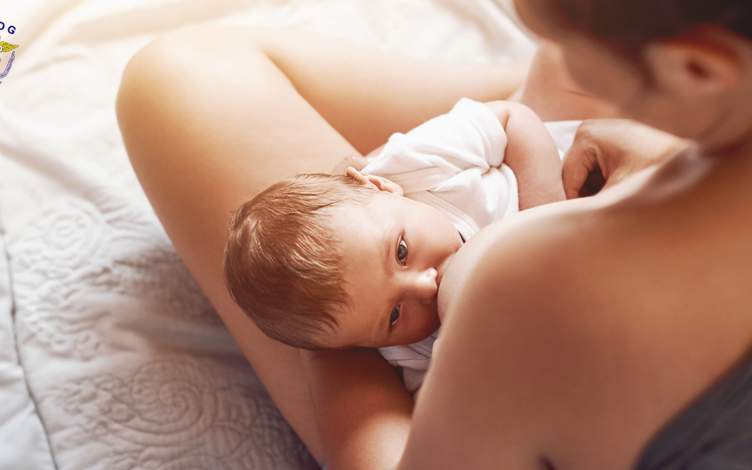 Las vacunas en embarazadas y la lactancia materna